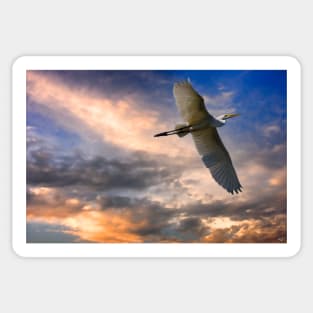 A White Egret Flies Off Under An Evening Sky Sticker